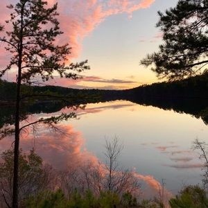 Meet your Posher, Dc